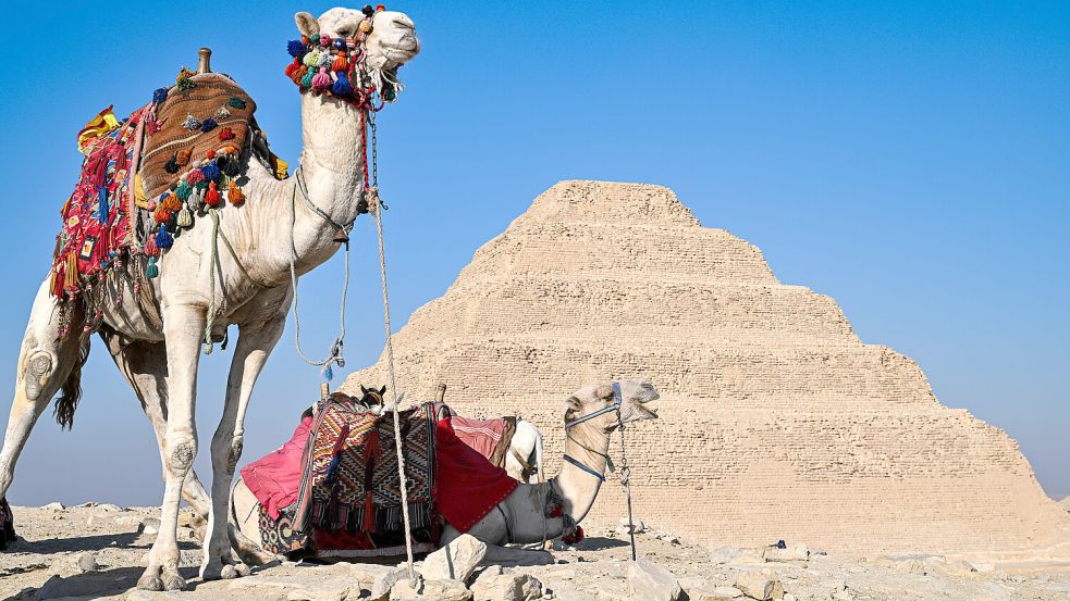 Kamele sind vor der Stufenpyramide in der Nekropole von Sakkara zu sehen: Ägypten bleibt auch während des Iran-Kriegs ein beliebtes Reiseziel. Foto: Xin Mengchen/XinHua/dpa