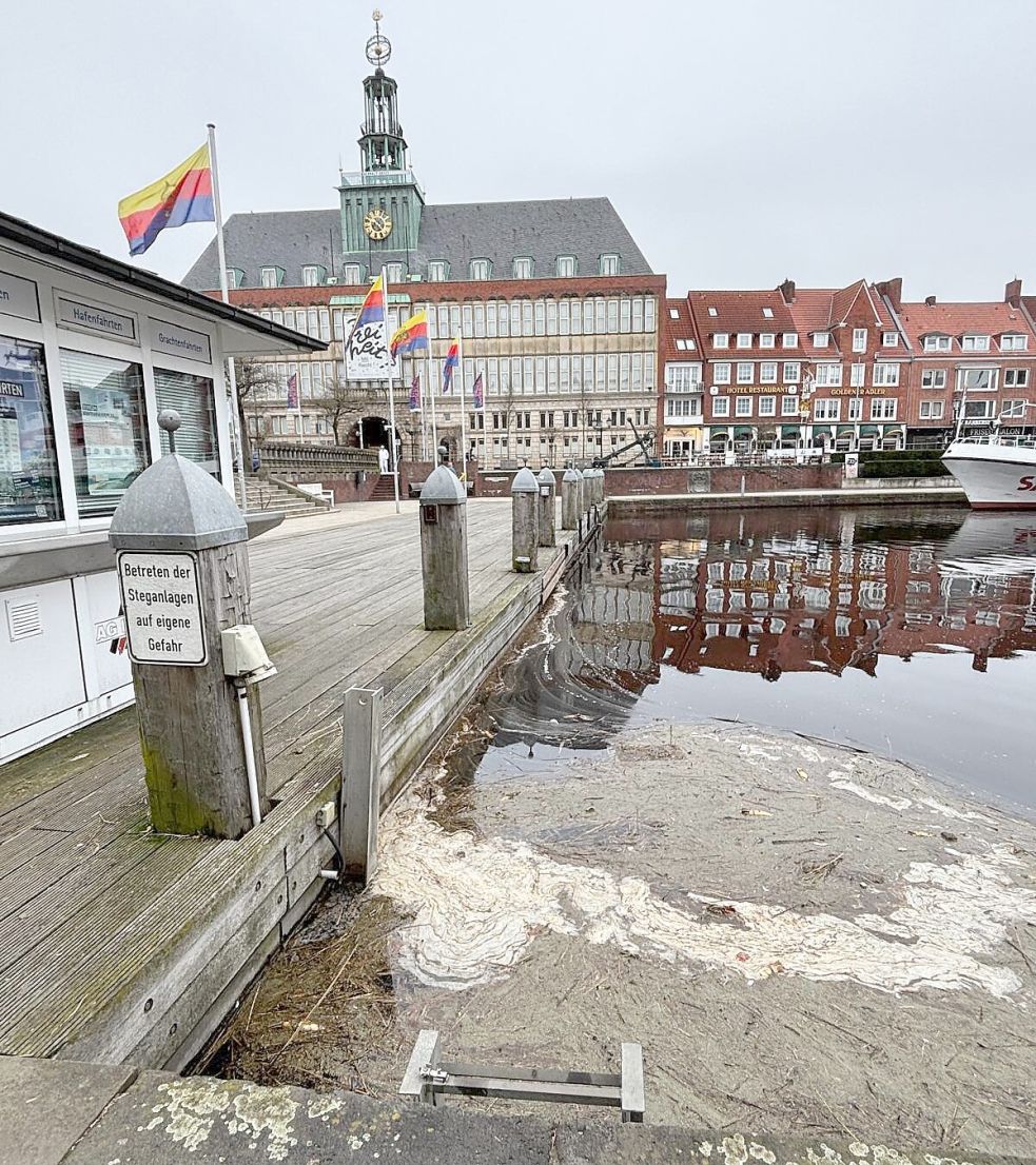 Beim „Sea Bin“, einem saugenden Wasser-Mülleimer im Ratsdelft, sammeln sich die toten Fische. Foto: Mona Hanssen