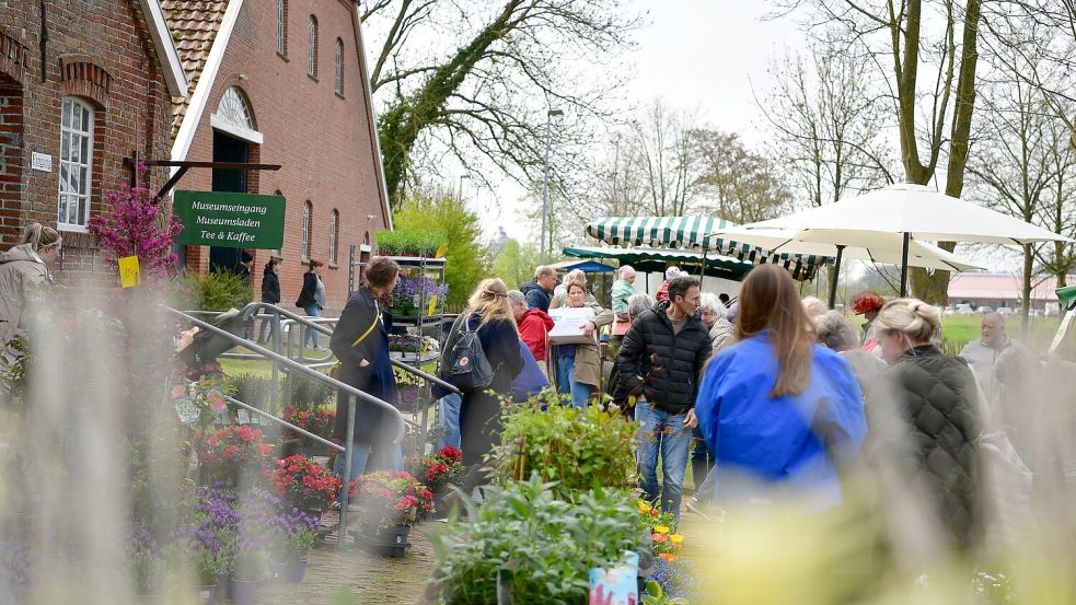 Saisonauftakt in Campen: Am Samstag, 21. März 2026, öffnet das Museum wieder seine Tore. Foto: Heinz Wagenaar/Archiv