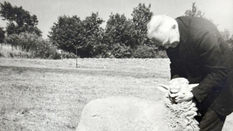Friedrich Ohlmer 1951 mit einem Schafbock auf der Weide. Foto: Archiv Marten Hagen