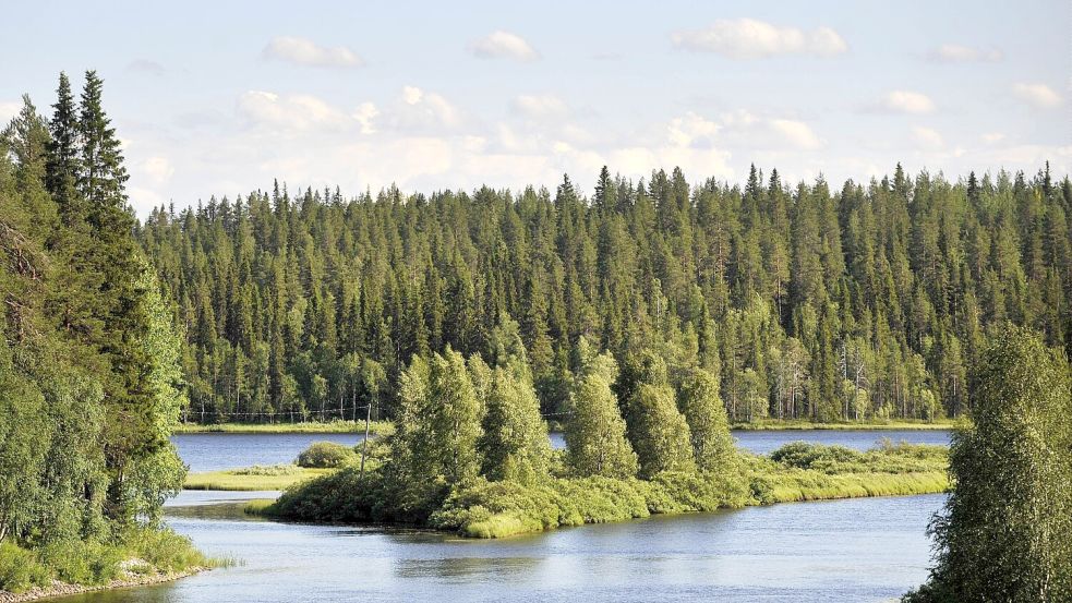 Wälder und Seen, typisch Finnland: Aber ist es nur ihre unberührte Natur, die die Finnen zu den glücklichsten Menschen der Welt macht? Kalt und dunkel ist es schließlich auch. Foto: Vesa Moilanen