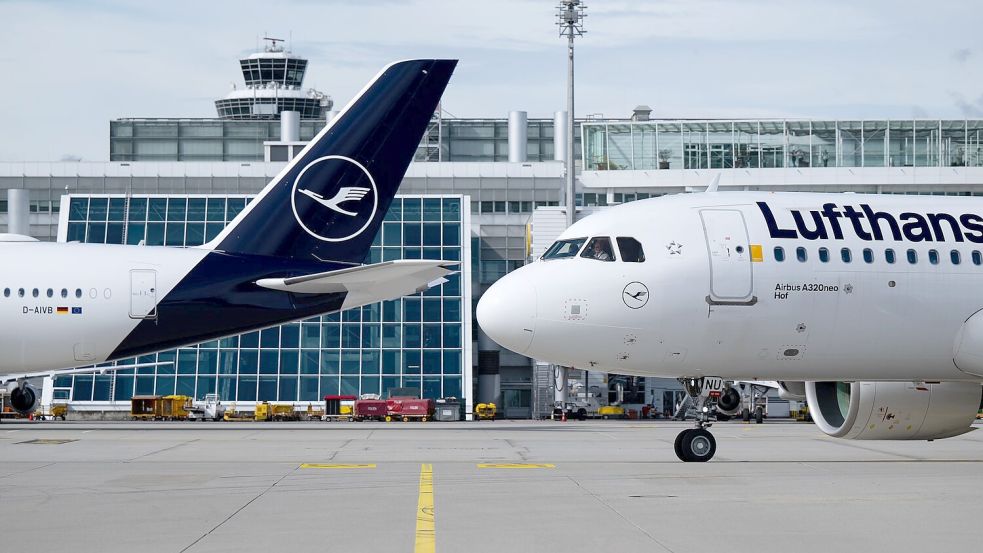 Lufthansa-Maschinen am Münchner Flughafen. (Symbolbild) Foto: Sven Hoppe
