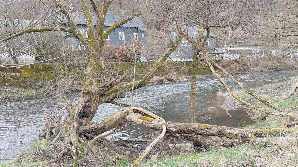 Das Kind war im Wasser der Sieg treibend aufgefunden worden - nun ist es gestorben. (Archivbild) Foto: Berthold Stamm/dpa