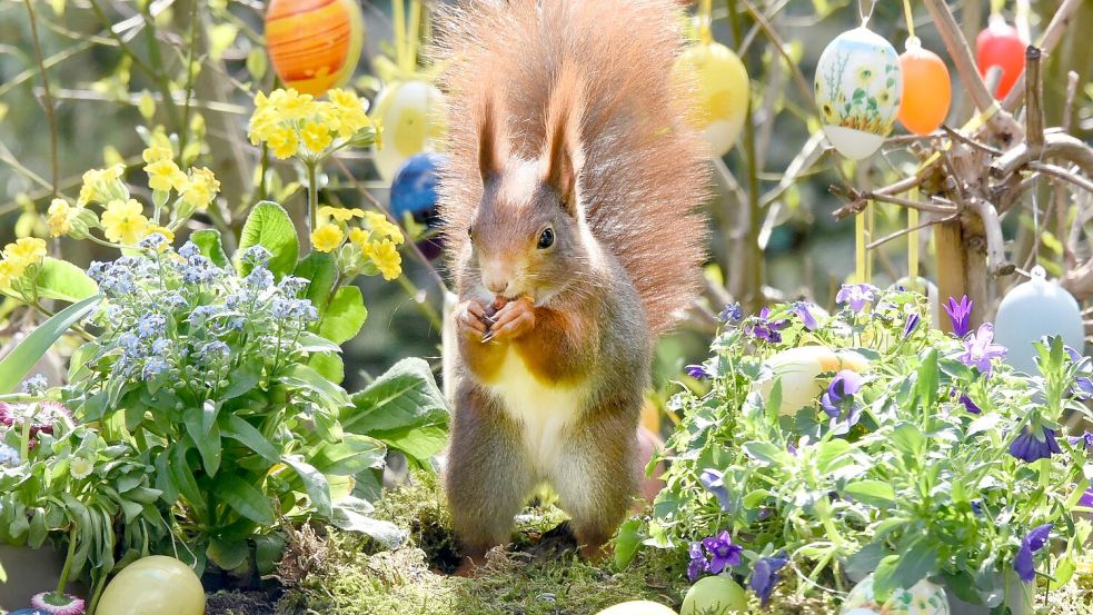 Ostern steht vor der Tür. (Archivbild) Foto: Waltraud Grubitzsch
