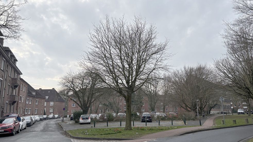 Hier bleibt es bei einem reinen Parkplatz: der Standort an der Medmannstraße.