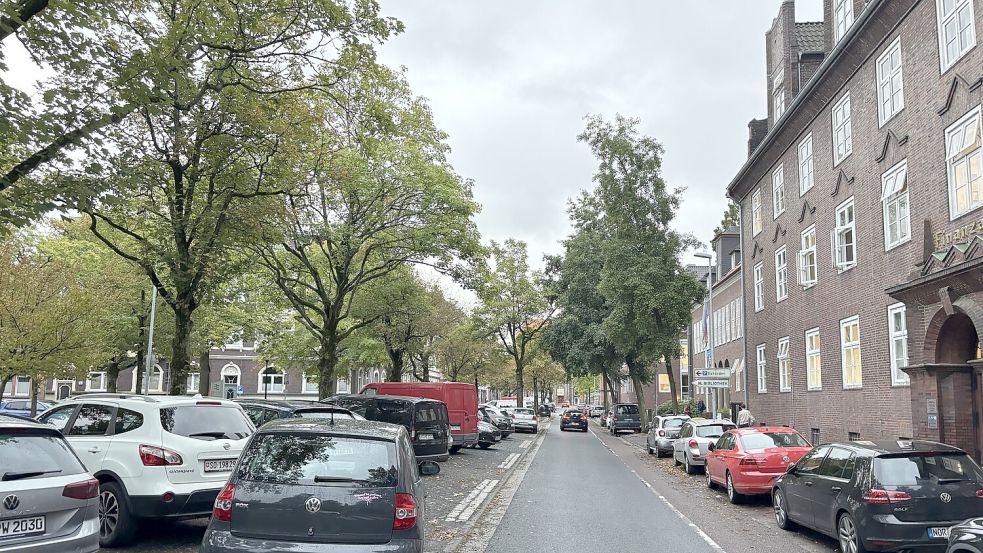Auf dem Mittelstreifen an der Ringstraße ist bald Schluss mit Anarchieparken.