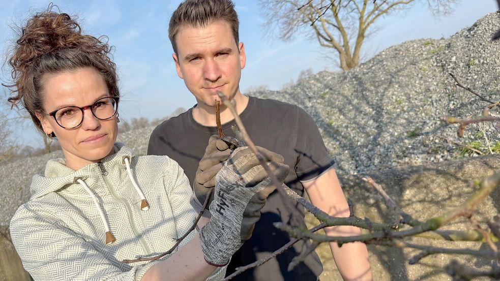 Nur noch trockene Zweige und verdorrte Knospen: Hilke und Johannes Baumann an einem der betroffenen Obstbäume. Foto: Marion Janßen