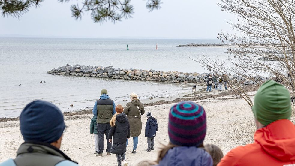 Das Schicksal des Buckelwals bewegt viele Menschen. Foto: Ulrich Perrey