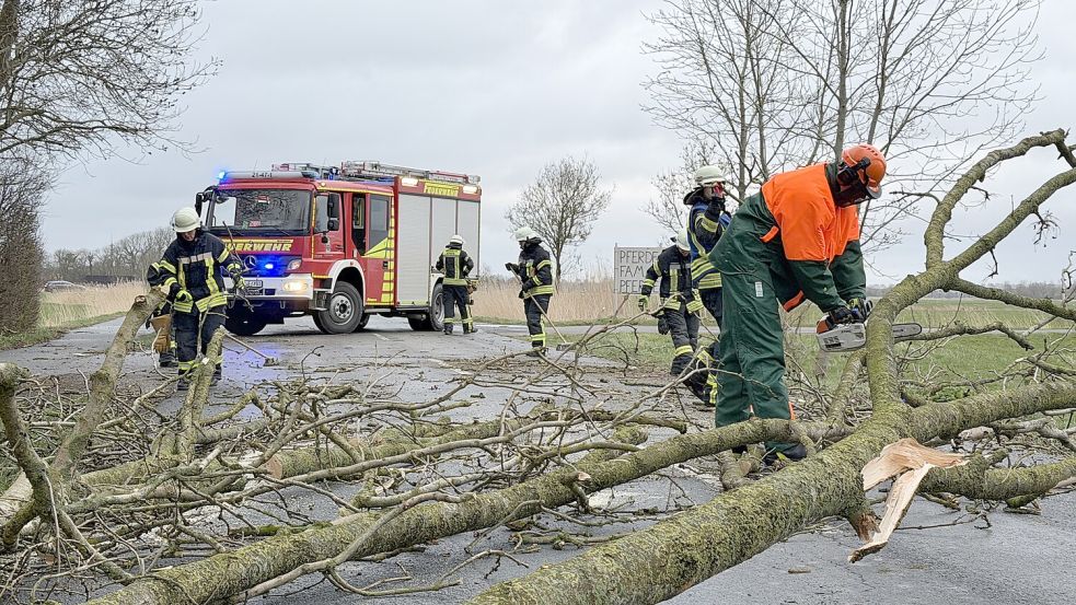 Die Feuerwehren in Ostfriesland sind bereits zu mehreren Einsätzen ausgerückt. Foto: Feuerwehr Norden/Thomas Weege