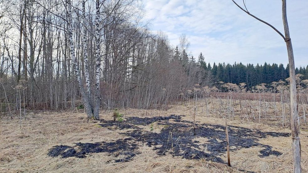Der ukrainische Abwehrkampf gegen Russland zieht die baltischen Staaten in Mitleidenschaft. Foto: -/National Armed Forces of Latvi