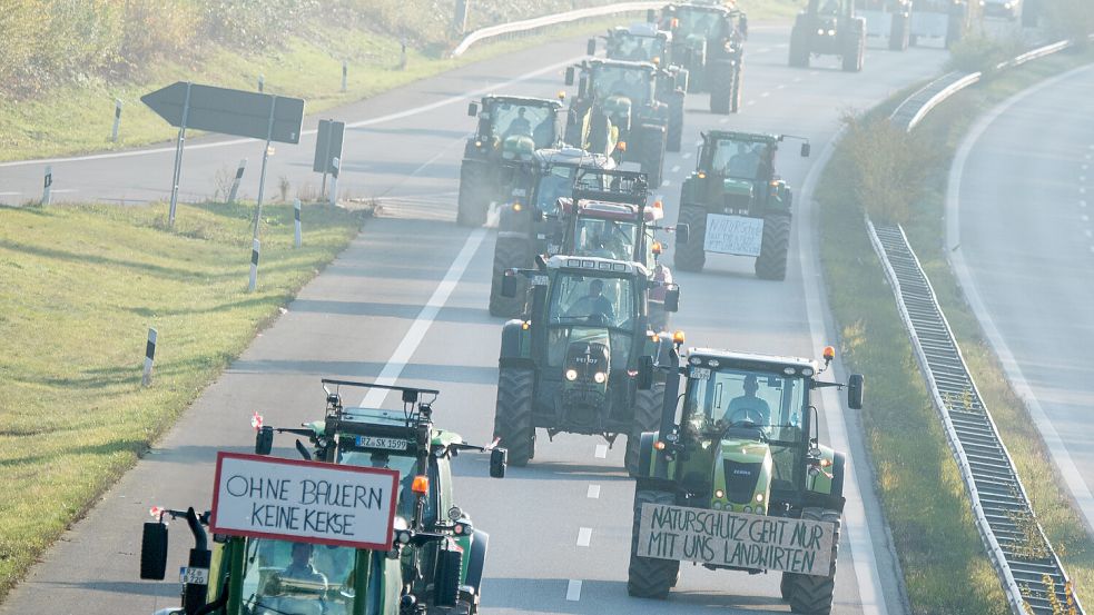 Landwirte beteiligten sich an den Bauerndemos im Jahr 2019 und bremsten den Verkehr auf einer zweispurigen Straße aus. Symbolfoto: Daniel Bockwoldt/DPA