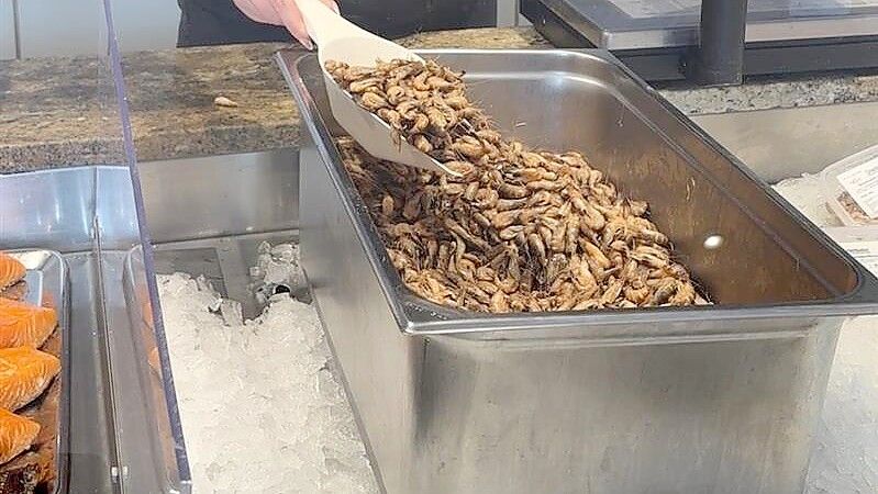 Der frische Granat stammt in der Saison direkt von den Greetsieler Kuttern. Foto: Stephanie Tomé
