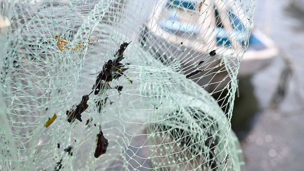 Erdölrückstände haben die Ausrüstung der Fischer verschmutzt, darunter Netze. Foto: Yahir Ceballos/dpa