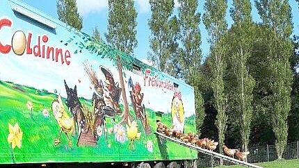 Der Mobilstall hat weithin Aufmerksamkeit erregt. Tim Wright sprayte die Motive.