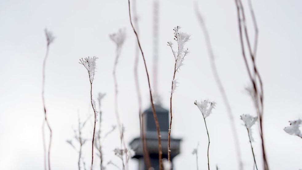 Das Wetter zum Wochenende wird wechselhaft. Foto: Andreas Arnold