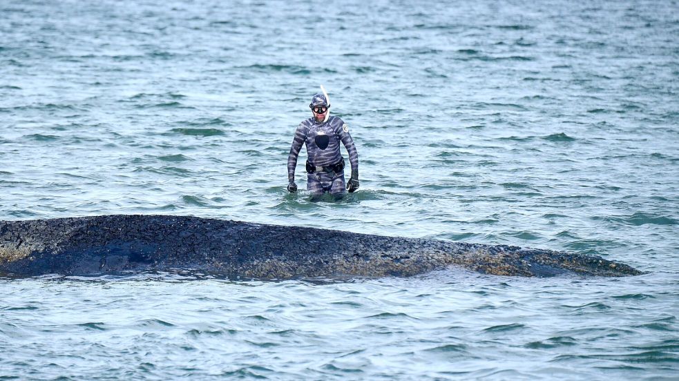 Bei der Rettungsaktion vor Timmendorfer Strand hat Lehmann unterstützt. (Archivbild) Foto: Daniel Bockwoldt