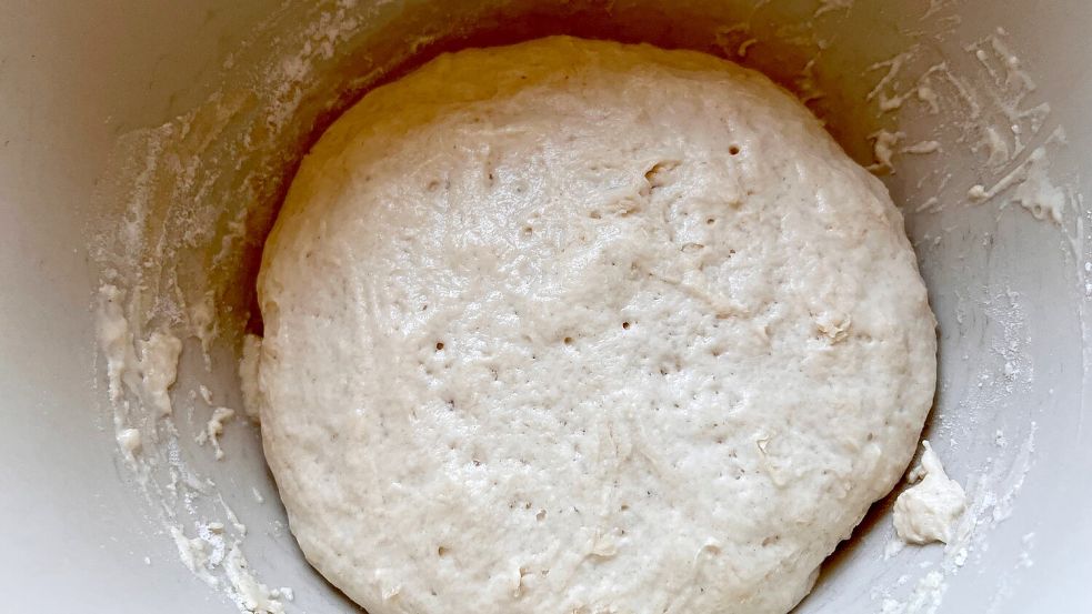 Nach knapp 45 Minuten sieht es in der Teigschüssel so aus. Foto: Carmen Leonhard
