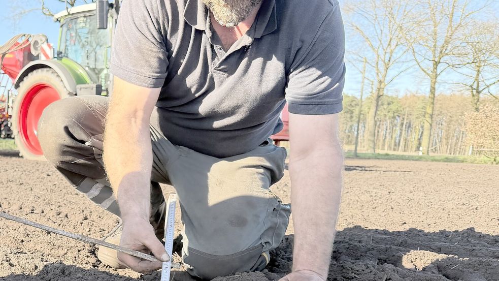 Bernd Völker prüft die ausgesäte Reihe. Foto: Marie Busse