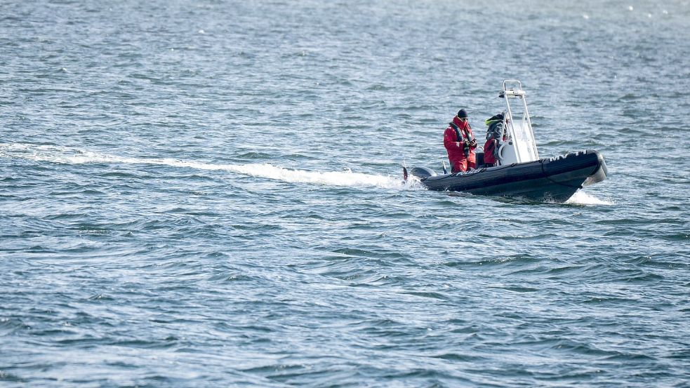 Das Schicksal des Wals beschäftigt viele Menschen. Foto: Philip Dulian