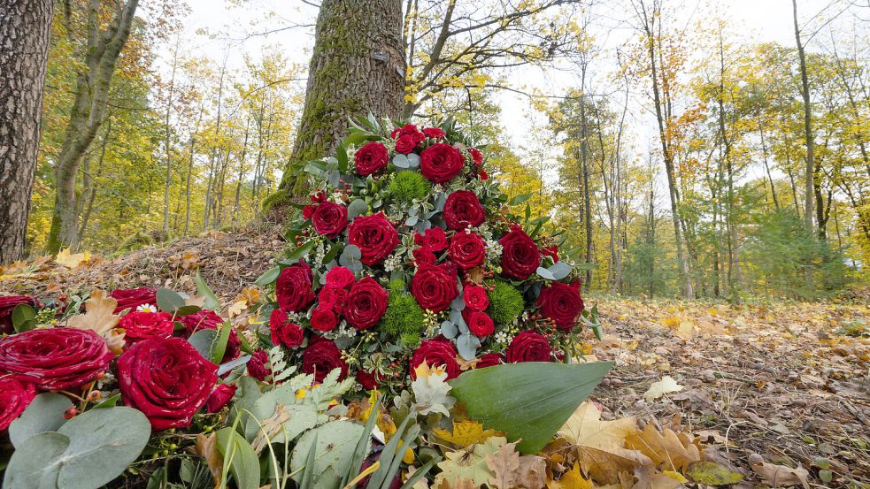 Bestattungen unter Bäumen werden vielerorts nachgefragt. Foto: DPA