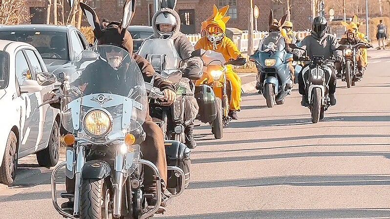 Am Ostersonntag, 5. April, startet die große Hasentour um 10 Uhr in Wilhelmshaven. Foto: Hasentour