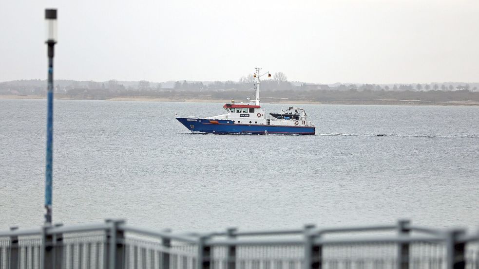 Das Tier war zwischenzeitlich abgetaucht, wurde aber am Dienstagvormittag erneut gesichtet. (Archivbild) Foto: Stefan Tretropp/dpa