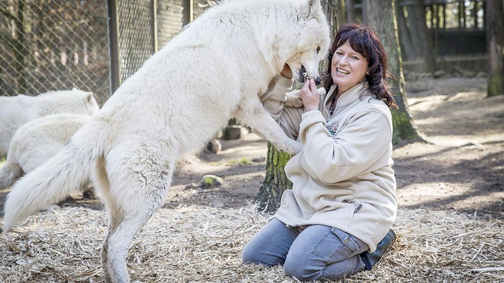 Wolfs-Expertin Tanja Askani im Wildpark Lüneburger Heide in Aktion. Foto: IMAGO/Lars Berg