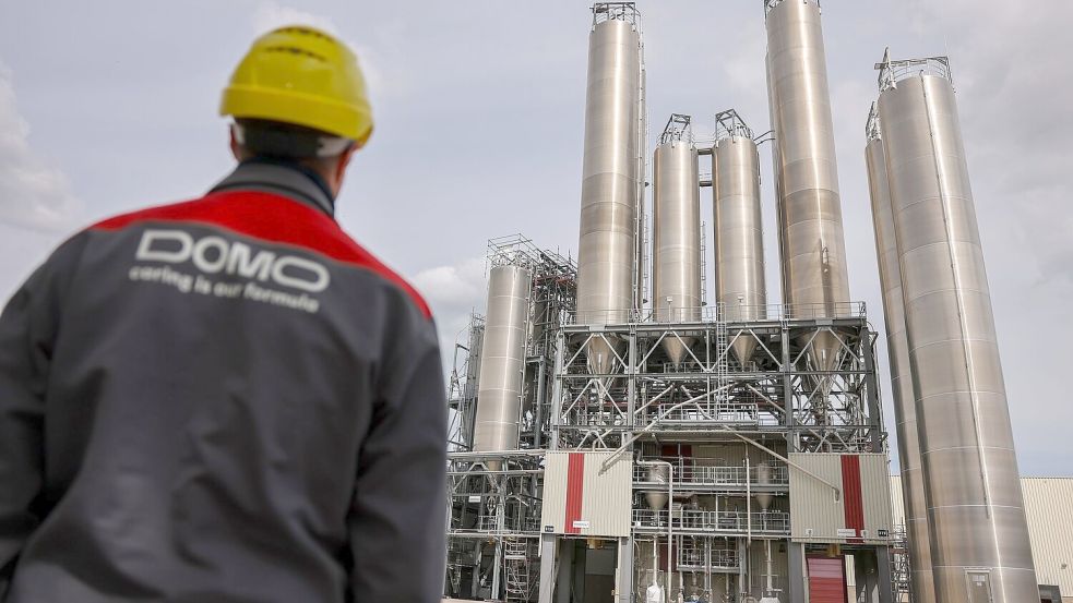 Die neue Gesellschaft in Leuna finanziert ab sofort vollumfänglich den Geschäftsbetrieb. (Archivbild) Foto: Jan Woitas