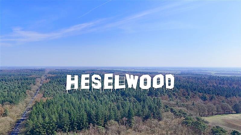 Wären Aprilscherze echt, würde der Heseler Wald künftig so aussehen wie auf diesem KI-generierten Bild. Foto: Tourist-Info Hesel/KI