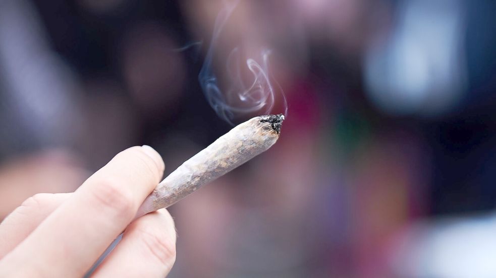 Forscher legen einen Zwischenbericht nach zwei Jahren Teillegalisierung vor. (Symbolbild) Foto: Annette Riedl