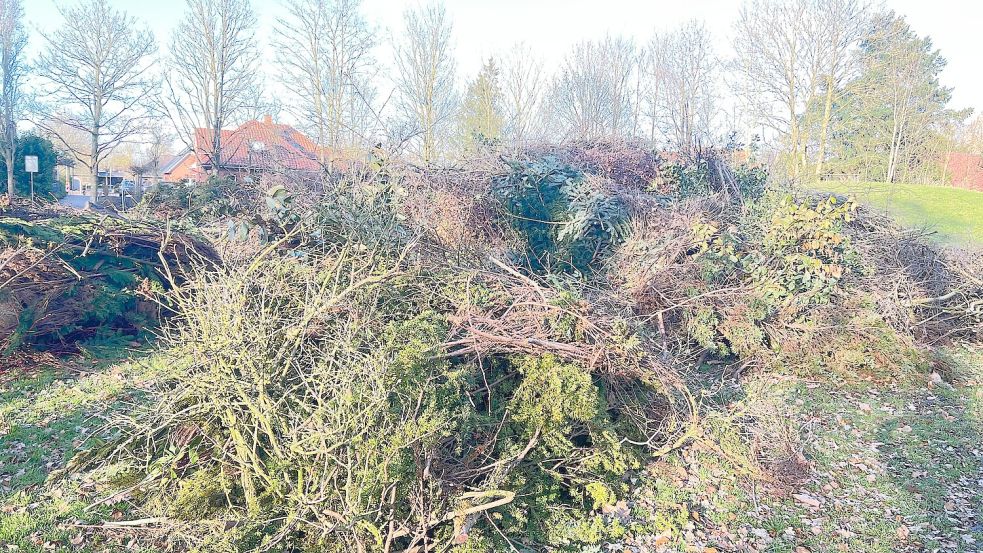 Das Foto zeigt den Haufen, der beim Osterfeuer im Stapelmoorer Park verbrannt werden soll. Die Tierschützer kritisieren das völlig ungeeignete, frische Brennmaterial in unmittelbarer Nähe der Nistkolonie. Foto: Privat