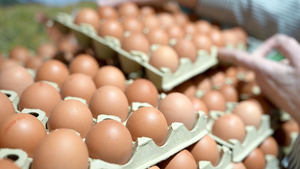 Eine Mitarbeiterin stellt Eier in ein Regal in einem Supermarkt. Foto: Marcus Brandt/dpa