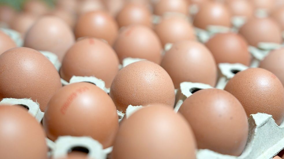 In manchen Lebensmittelläden sind sie gerade Mangelware: Eier. (Symbolbild) Foto: Marcus Brandt