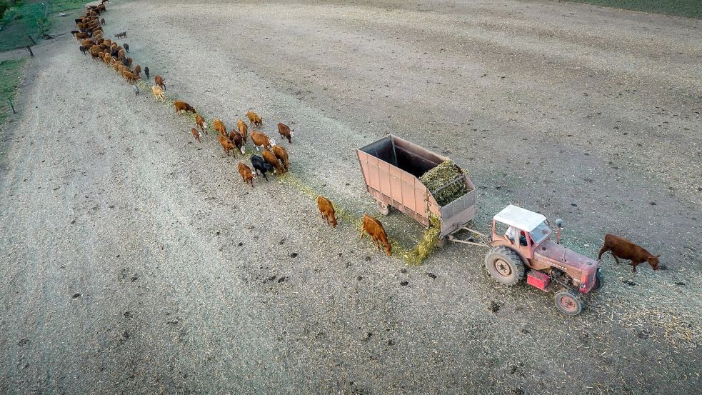 Anfang Februar 2023 trug La Niña zu einer verheerenden Dürre in Argentinien bei. (Archivbild) Foto: eduardo bodiño/dpa