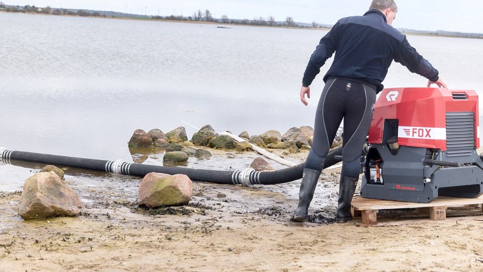 Seit Freitag benetzen Einsatzkräfte der Feuerwehr die verletzte Haut des Tieres regelmäßig mit Wasser, um die Schmerzen zu lindern. (Foto vom 3.4) Foto: Marcus Golejewski