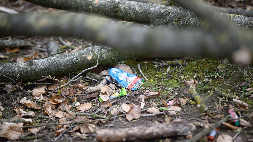 Durch einen umgestürzten Baum sind bei Flensburg drei Menschen ums Leben gekommen. Foto: Daniel Reinhardt