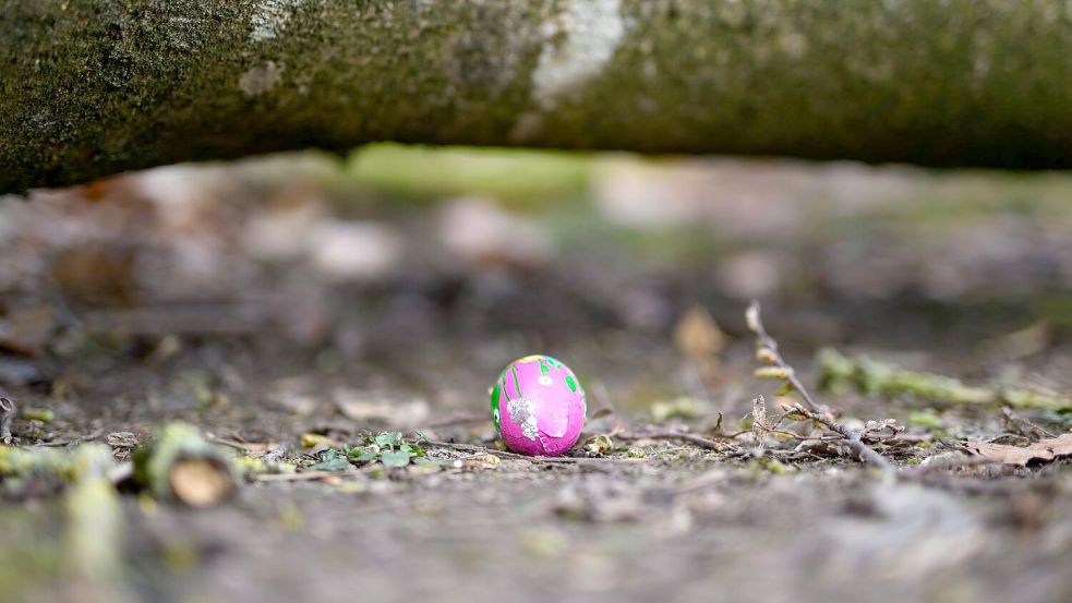 Drei Menschen kommen bei dem Unglück am Ostersonntag ums Leben. Foto: Daniel Reinhardt