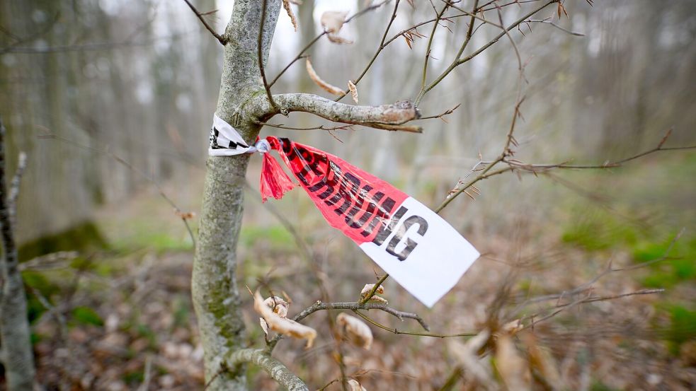 Reste einer Polizeiabsperrung sind in dem betroffenen Waldstück zu sehen. Foto: Daniel Reinhardt