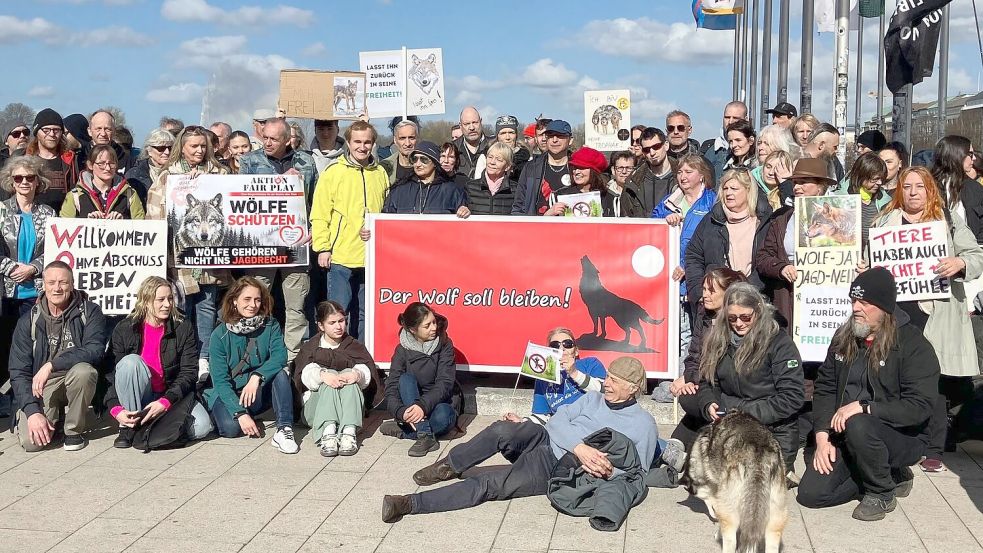 Nach Angaben der Veranstalter nahmen bis zu 150 Menschen an der Mahnwache für den Wolf teil. Foto: Markus Klemm/dpa