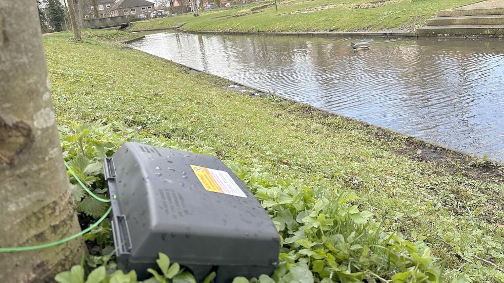 Am Hohen Wall haben Schädlingsbekämpfer entlang des Wassers Köderfallen ausgelegt. Foto: Mieke Matthes