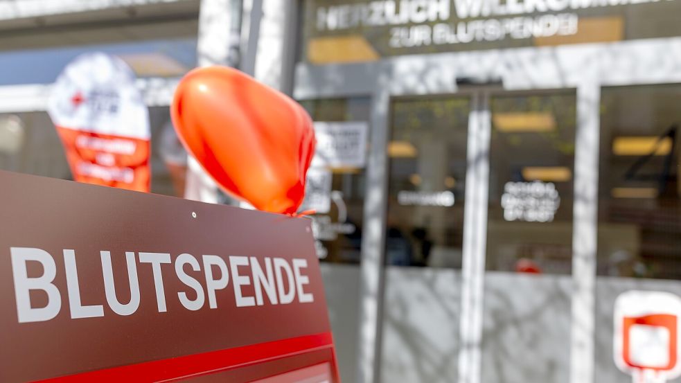 Das neue Blutspendezentrum in der Lortzingstraße 4 hat seit dem 7. April geöffnet. Foto: Tobias Saalschmidt