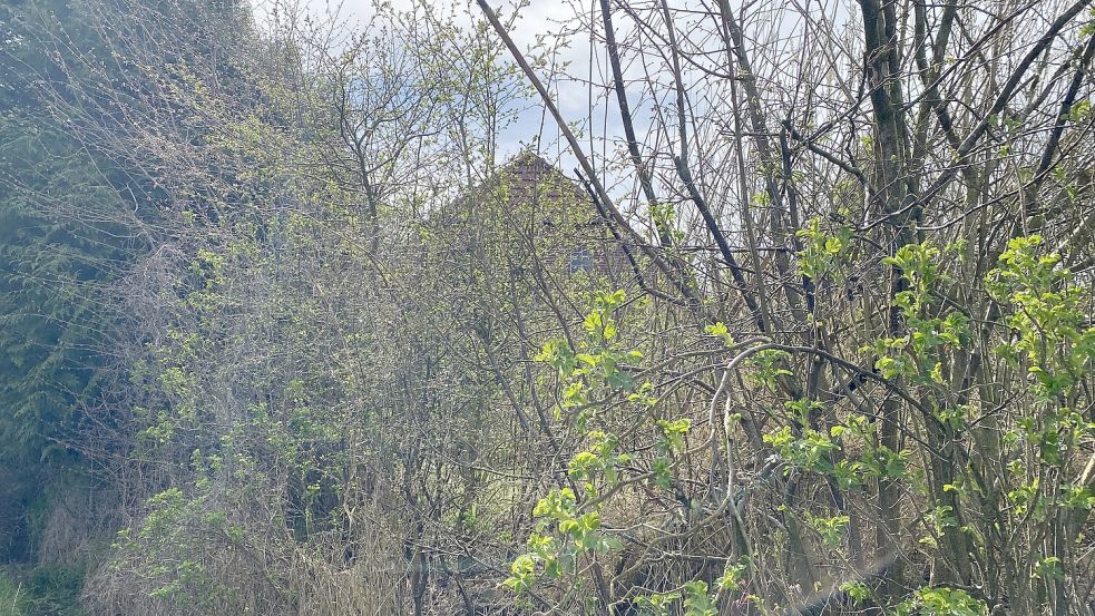 Das Haus und der Garten in Fulkum, wo die Leiche entdeckt wurden. Das Grundstück ist stark eingewachsen. Foto: Imke Oltmanns