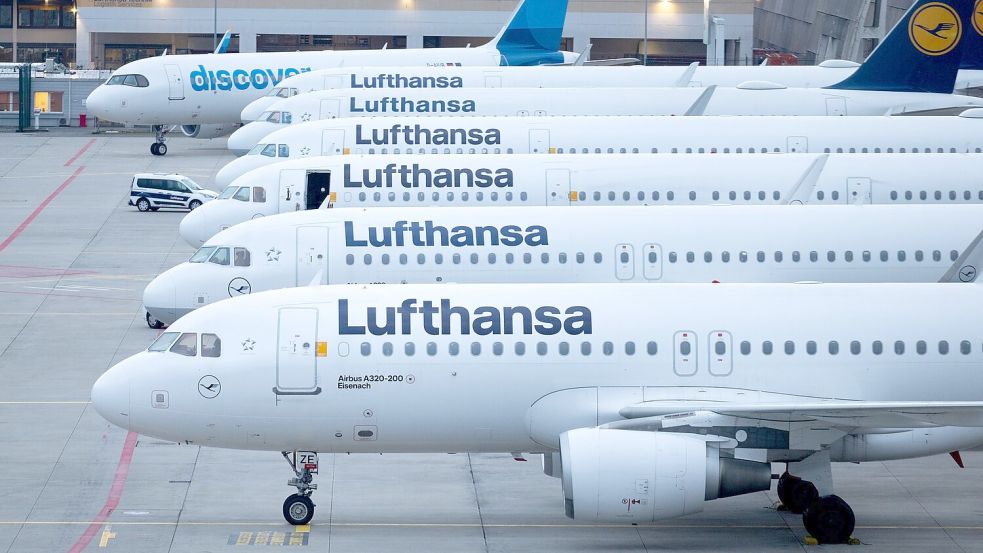 Stehen am Freitag wieder zahlreiche Lufthansa-Jets still? (Archivbild) Foto: Lando Hass
