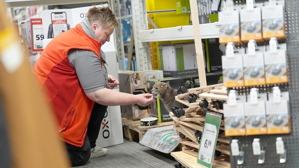 Jennifer Scheel, Mitarbeiterin im Baumarkt, wird von ihren Kollegen auch „Katzenmutti“ genannt. Foto: Marcus Brandt/dpa