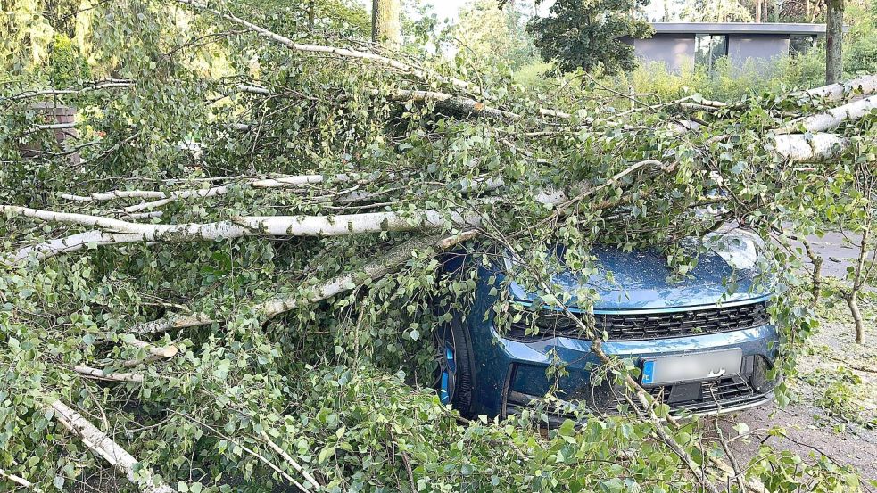 Bäume, die auf Autos stürzen und andere Naturgefahren richteten vergangenes Jahr deutlich weniger Schäden an. (Archivbild) Foto: Jens Dudziak/dpa