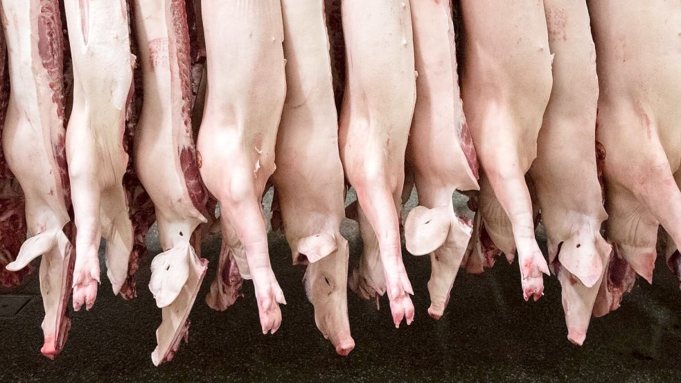 Geklagt hatte ein Unternehmen, dass sich auf die Zerlegung von Schweineköpfen spezialisiert. (Archivbild) Foto: Mohssen Assanimoghaddam