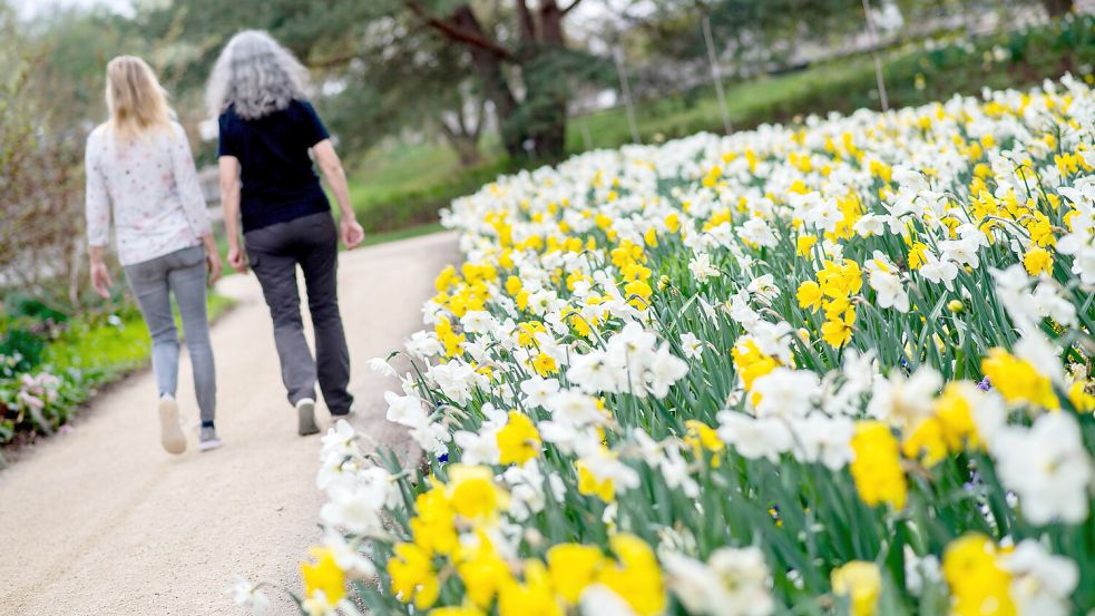 Der Park der Gärten ist ab dem 18. April wieder geöffnet. Foto: Hauke-Christian Dittrich/DPA/Archiv