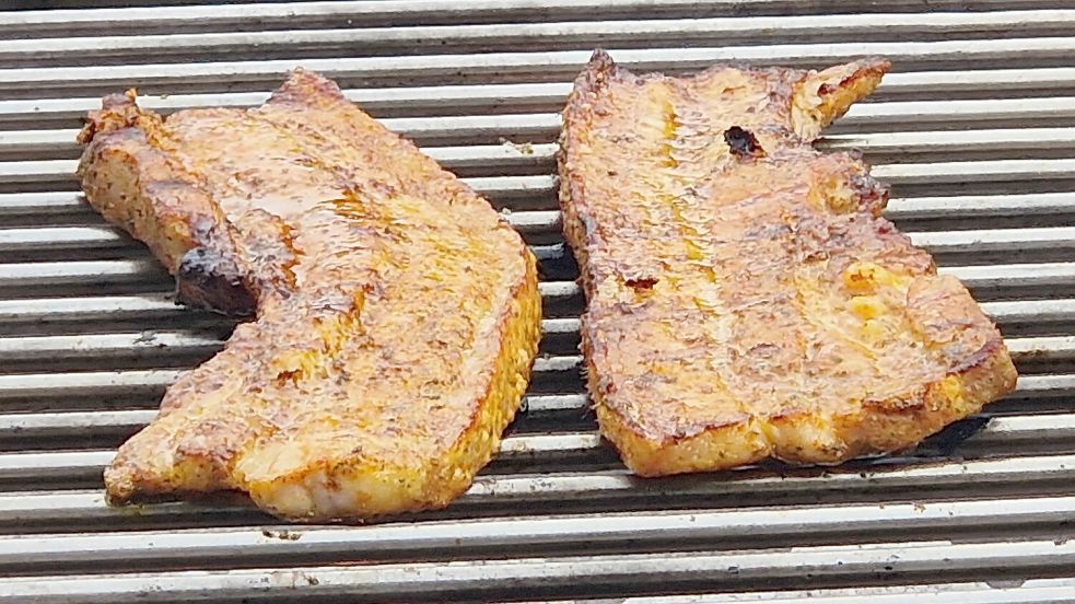 Grillen verboten: So lautet es seit gut einem Jahr am Badesee Grotegaste. Foto: Tatjana Gettkowski