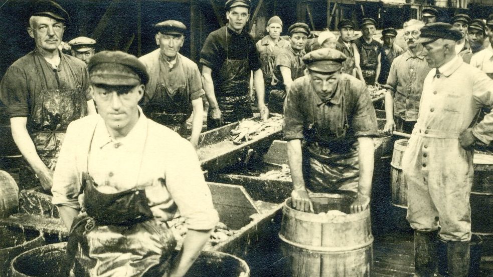 Die Heringe wurden nach dem Fand gekehlt und in Fässer verpackt. Foto: Heimatmuseum Leer