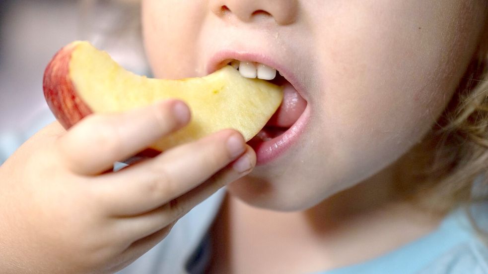Obst wird oft durch hochverarbeitete Lebensmittel ersetzt. (Symbolbild) Foto: Hendrik Schmidt